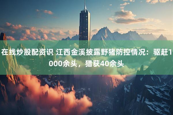 在线炒股配资识 江西金溪披露野猪防控情况：驱赶1000余头，猎获40余头